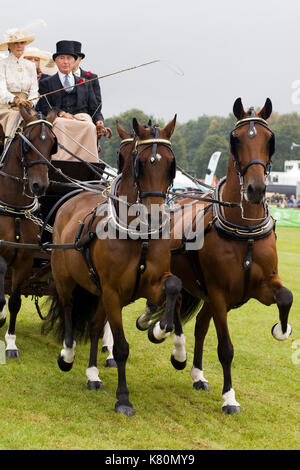 Un dessin chevaux 8 places transport omnibus victorienne Banque D'Images
