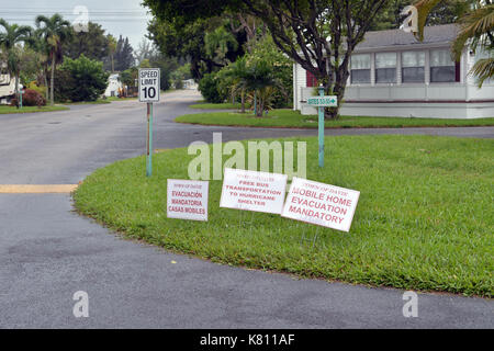 New YORK DALLIES OUT DAVIE, FL - SEPTEMBRE 09: (COUVERTURE exclusive) Effets de l'ouragan extrême de catégorie 5 Irma commence à frapper la Floride, Qui Est La plus grande tempête De l'histoire des États-Unis. Des Couvre-Feux obligatoires sont émis dans tout le sud de la Floride, car la région se dégage des routes devant l'ouragan Irma : 19 h à Key Biscayne, 20 h à North Miami Beach, 16 h dans le comté de Broward, 19 h dans la ville de Miami et 20 h à Miami Beach. Key Biscayne a publié un couvre-feu à partir de 19 h à 7 h. La première mort en Floride était un homme Davie qui est tombé de son échelle avec des volets le 9 septembre 2017 à fort la Banque D'Images