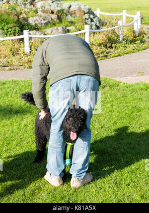 L'homme de caresser son chien avec sa tête entre ses jambes dans un parc public Banque D'Images