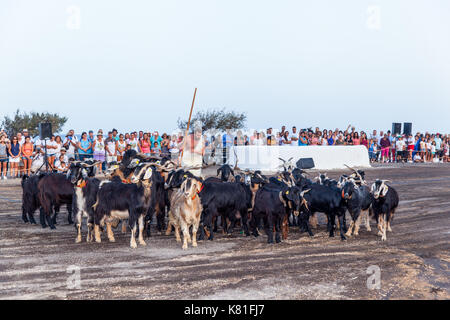 Pèlerinage de la Bajada de la Virgen del Socorro. El Socorro. Île de Ténérife. Espagne Banque D'Images