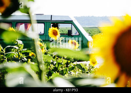 Un camping-car vintage dans un champ de tournesol Banque D'Images