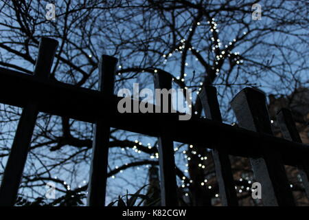 Plan Macro sur clôture avec fairy lights Banque D'Images