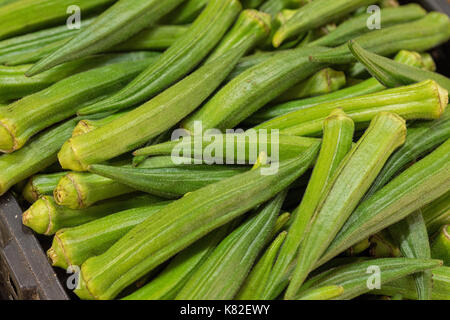 L'okra at farmers market Banque D'Images