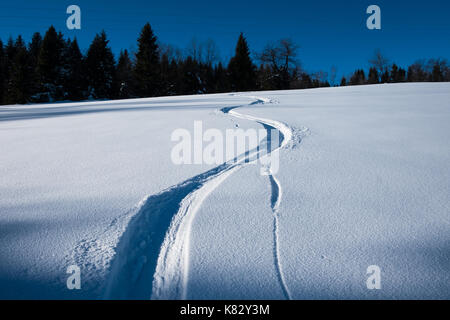 Des traces de ski dans la neige, montagnes des Beskides, Pologne Banque D'Images