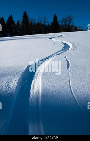 Des traces de ski dans la neige, montagnes des Beskides, Pologne Banque D'Images