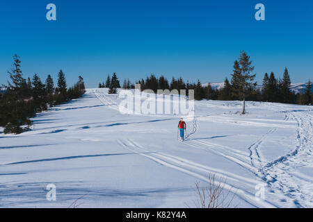 Ski de randonnée en Espagne, montagnes des Beskides, pilsko, rysianka Banque D'Images