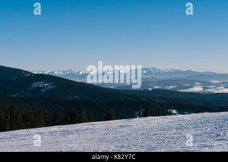 Tatras vu de Hala, rysianka beskid żywiecki, Pologne Banque D'Images