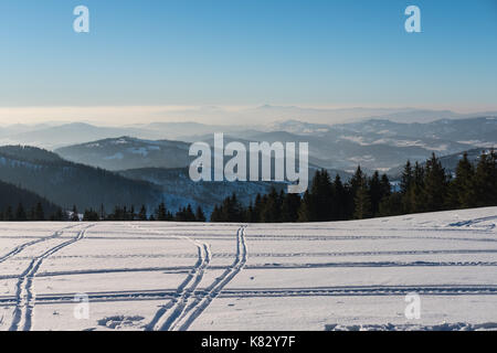 Des traces de ski dans les montagnes des Beskides, Pologne Banque D'Images