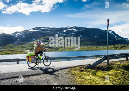 Cycliste sur la route dans le parc national de Hardangervidda, Norvège, Europe. Banque D'Images