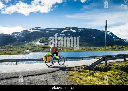 Cycliste sur la route dans le parc national de Hardangervidda, Norvège, Europe. Banque D'Images