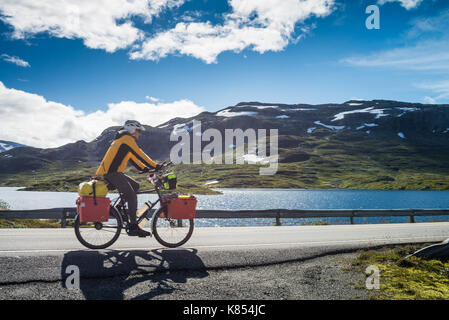 Cycliste sur la route dans le parc national de Hardangervidda, Norvège, Europe. Banque D'Images