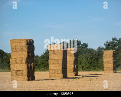 Bottes de paille dans le champ Banque D'Images