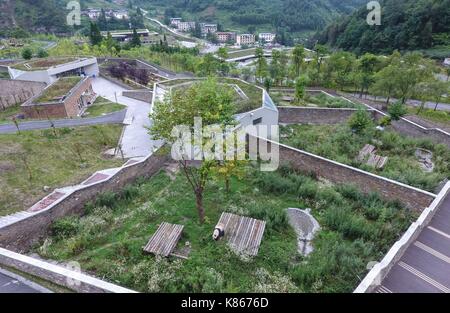 (170918) -- Beijing, sept. 18, 2017 (Xinhua) -- un grand panda est vu à la conservation de la Chine et du centre de recherche de pandas géants dans la réserve naturelle nationale de Wolong, dans le sud-ouest de la province chinoise du Sichuan, aug. 18, 2017. Un projet pilote visant à construire une administration de panda géant parc national a été approuvé. Le programme se former une croix-provincial national park qui unirait plus de 80 habitats fragmentés dispersés dans le sud-ouest de la province chinoise du Sichuan, le nord-ouest de la Chine, la province du Shaanxi et du Gansu province, d'une superficie de 27 134 kilomètres carrés. (Xinhua/xue yubin) (lfj) Banque D'Images