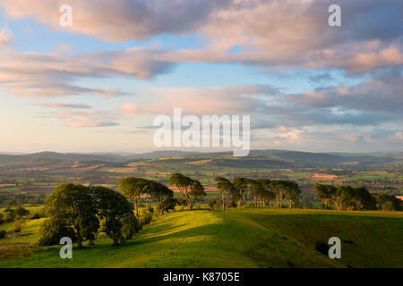 Avenue de hêtres au lever du soleil sur Linley Hill. Banque D'Images