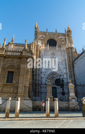 Porte de l'île de la Cathédrale de Séville, Espagne Banque D'Images