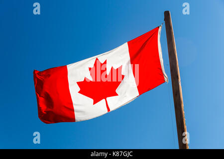 Brandir le drapeau canadien sur ciel bleu à Vancouver, Canada Banque D'Images