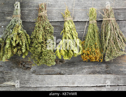 Variété d'herbes séchées sur un vieux fond de bois Banque D'Images