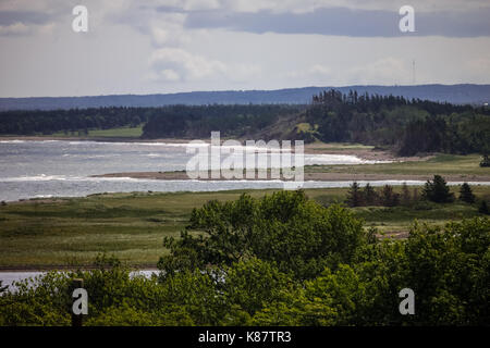 Le littoral le long des rives du comté d'Antigonish, dans la région de la Côte-Nord. Banque D'Images