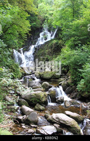 Torc Waterfall dans l'anneau de Kerry, Irlande des forêts Banque D'Images