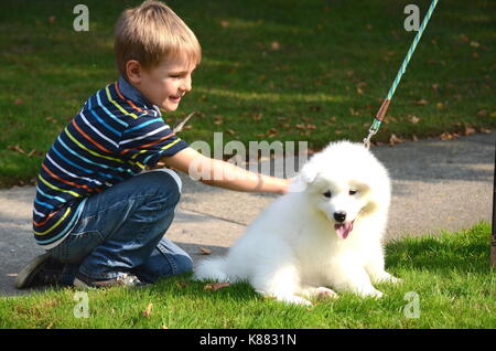 Portrait of a cute, heureux et souriant garçon qui joue avec un bébé chien spitz japonais. Banque D'Images