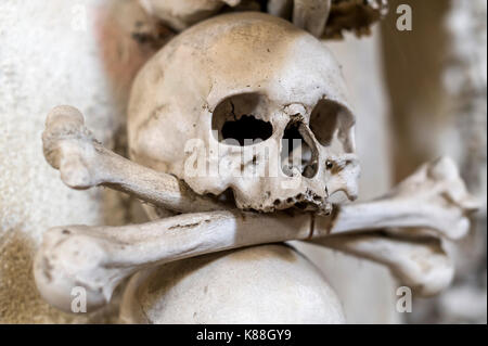 Détails des crânes dans l'Ossuary Sedlec Banque D'Images