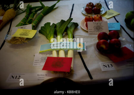 Thaxted le jardinage et l'exposition d'Artisanat, Thaxted Essex England, UK. 16 septembre 2017 Expositions du jardinage et de l'artisanat annuel Thaxted Show qui a eu lieu dans le chu Banque D'Images