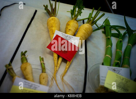 Thaxted le jardinage et l'exposition d'Artisanat, Thaxted Essex England, UK. 16 septembre 2017 Expositions du jardinage et de l'artisanat annuel Thaxted Show qui a eu lieu dans le chu Banque D'Images