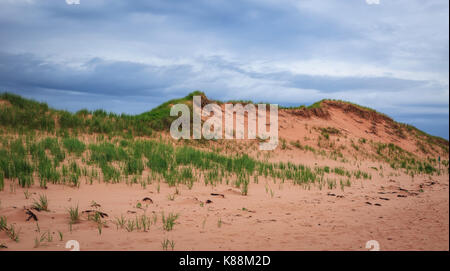 Dunes de sable du sol rouge riche sur la rive nord de l'Île du Prince Édouard, Canada Banque D'Images