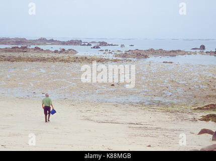 Les fruits de catcher à marcher le long de la plage à marée basse. Carreiron réserve naturelle, l'île d'Arosa, province de Pontevedra, Galice, Espagne. Banque D'Images