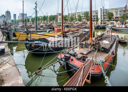 Pays Bas, Hollande-du-Sud, de Rotterdam, Maritime, de District, une partie de Haringvliet Rotterdams vieux port qui était autrefois dédiée la flotte de l'hareng Banque D'Images