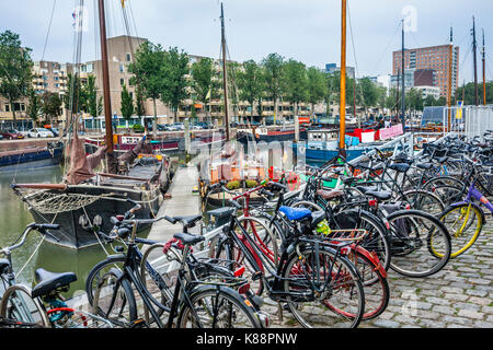 Pays Bas, Hollande-du-Sud, de Rotterdam, Quartier Maritime, location parking à Haringvliet, partie de Rotterdams vieux port qui était autrefois dédiée la f Banque D'Images