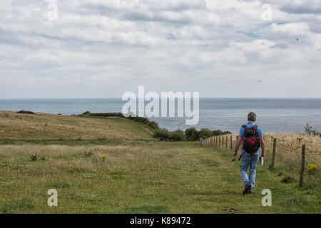 Un marcheur sur le Cleveland Way près de Robin Hood's Bay sur la côte du Yorkshire du Nord, Angleterre Banque D'Images