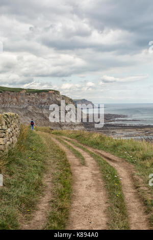 Un marcheur sur le Cleveland Way près de Robin Hood's Bay sur la côte du Yorkshire du Nord, Angleterre Banque D'Images