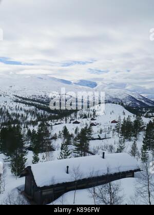 Chalets scandinaves en bois rond nichés dans une forêt enneigée. Une vue depuis l'un des trajets en train les plus pittoresques au monde : d'Oslo à Bergen (Norvège) Banque D'Images