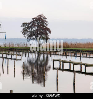 Bad Zwischenahn, Allemagne - le 23 novembre 2016 : paysage d'automne dans le parc public du spa village Banque D'Images