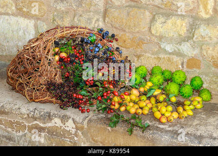 Panier en osier rempli de divers fruits et baies sauvages de haies, avec conkers Banque D'Images