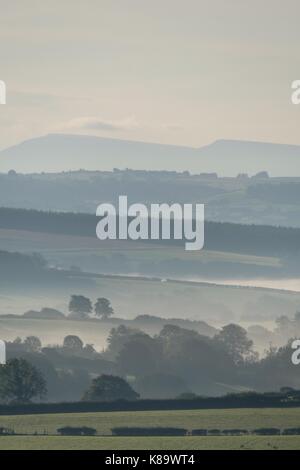 Ceredigion, pays de Galles, Royaume-Uni. 19 sep 2017. uk weather : brouillard lourd remplit la belle vallée aeron dans Ceredigion, pays de Galles, de l'ouest sur un lumineux, ensoleillé et chaud matin de septembre crédit : Keith morris/Alamy live news Banque D'Images