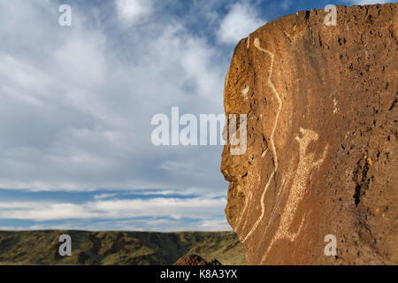 Pétroglyphes, Rinconada Canyon, Monument national Petroglyph, Albuquerque, Nouveau Mexique USA Banque D'Images