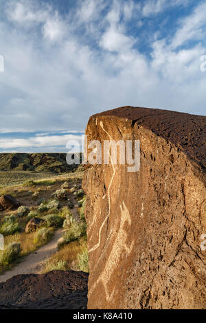 Pétroglyphes, Rinconada Canyon, Monument national Petroglyph, Albuquerque, Nouveau Mexique USA Banque D'Images