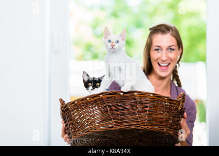 Portrait de femme belle tenue panier en osier avec chatons Banque D'Images