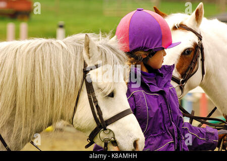 Un jeune cheval-cavalier à la holding et après deux chevaux ou poneys équitation port kit et souriant en prenant soin des animaux. Banque D'Images