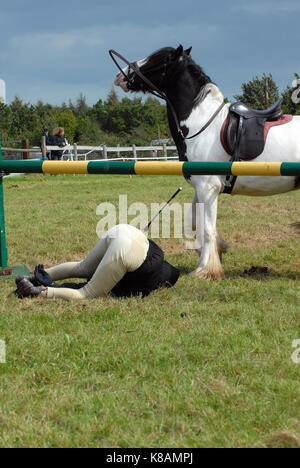 Une femme qui tombe d'un cheval ou d'un poney après avoir refusé un saut. Pris dans l'air et aussi sur le sol qui maintient toujours les rênes. Aïe ! Banque D'Images