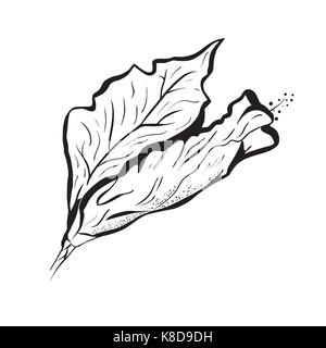 Fleur d'hibiscus dans un style de tatouage. Le noir et blanc, graphique fleur tropicale Illustration de Vecteur