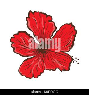 Fleur d'hibiscus dans un style de tatouage. Tropical flower graphiques Illustration de Vecteur