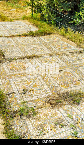 El Djem, Tunisie - septembre 1, 2015 : le chef-d'mosaïques, conservées en site archéologique dans la petite ville arabe, le 1 septembre à El Djem. Banque D'Images