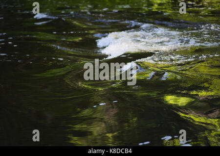 Vagues d'eau ruisseau River Forest arbre Vert effet miroir réflexion Banque D'Images