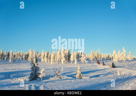 Groupe de la motoneige en Laponie, près de Rauma, Finlande Banque D'Images