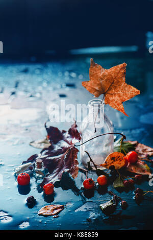 Automne Nature morte à la bouteille de verre, gouttes de pluie, de feuilles d'érable et baies sur un fond humide Banque D'Images
