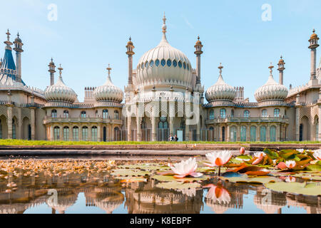 Des nénuphars dans un étang en face du Royal Pavilion, Brighton, East Sussex, Angleterre, Grande-Bretagne Banque D'Images