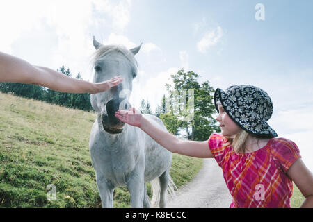 Fille de 5 ans patrant un cheval blanc, Allgau, Alpes, Allemagne Banque D'Images